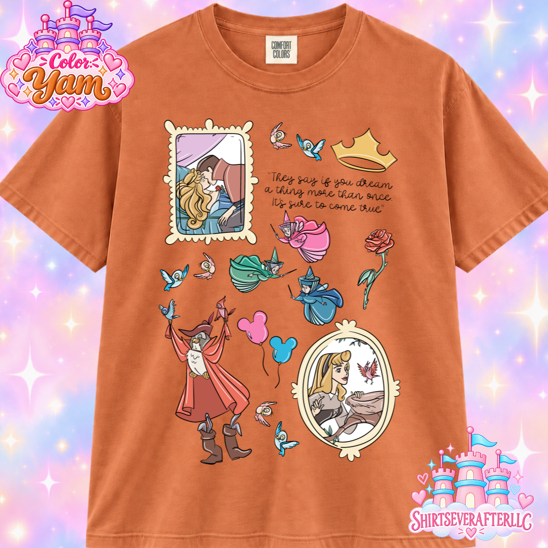 Dream a Dream Shirt